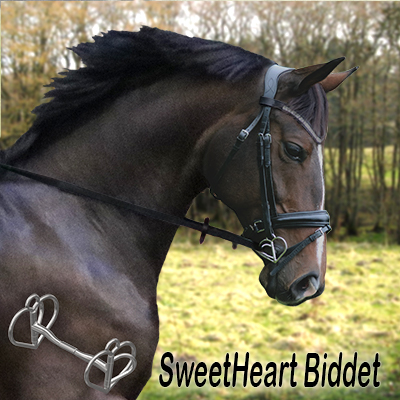 SweetHeart hjælper hesten i rigtige retning